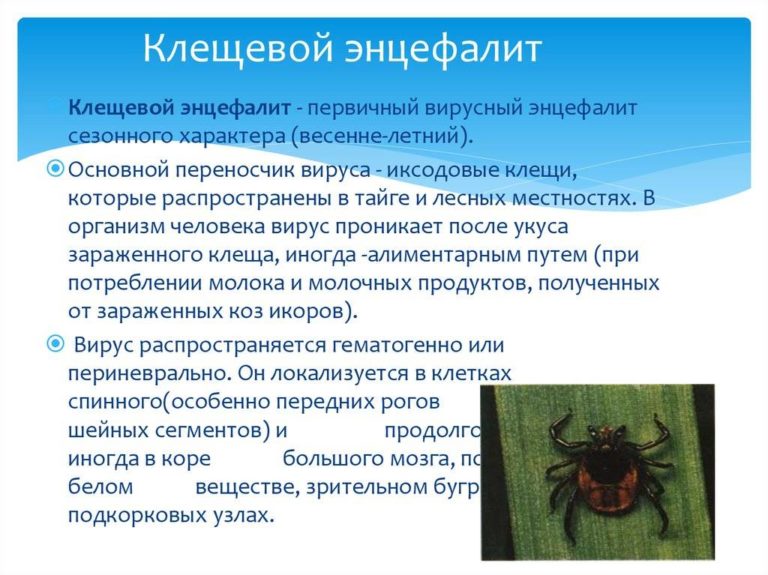 Осторожно – клещи! - ДЮЦ Волгограда